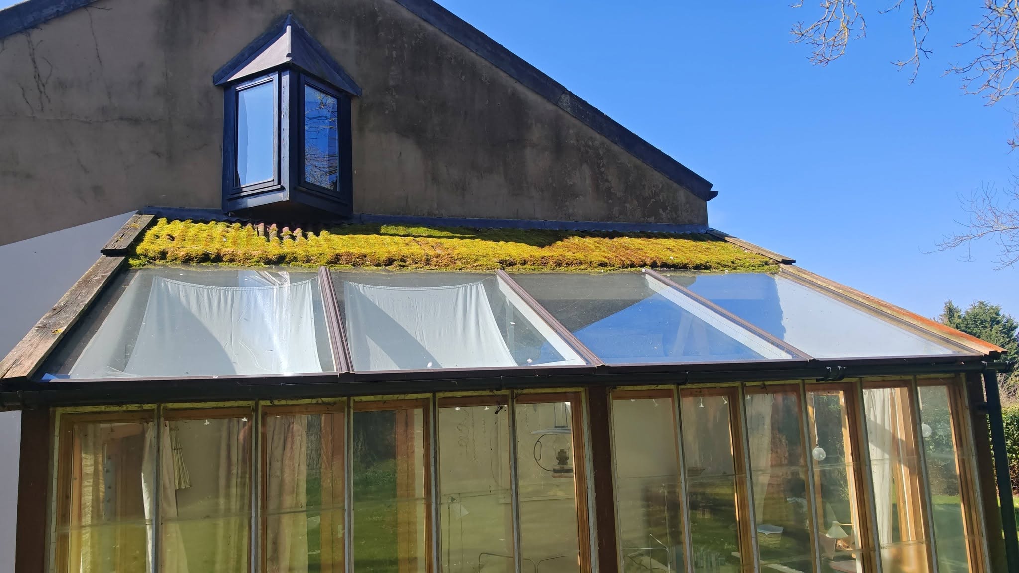 A conservatory roof with moss along the ridge, ready for a clean